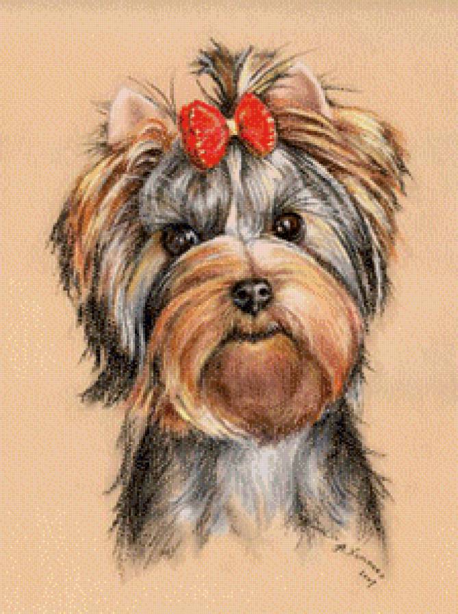 Собачка - рисунок, собака - предпросмотр