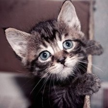 Схема вышивки «3»