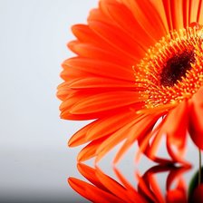 Схема вышивки «№523365»