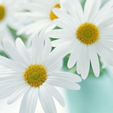 Схема вышивки «№523377»