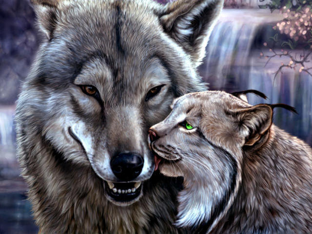 Необычная дружба - водопад, рыси, пейзаж, животные, волки - оригинал