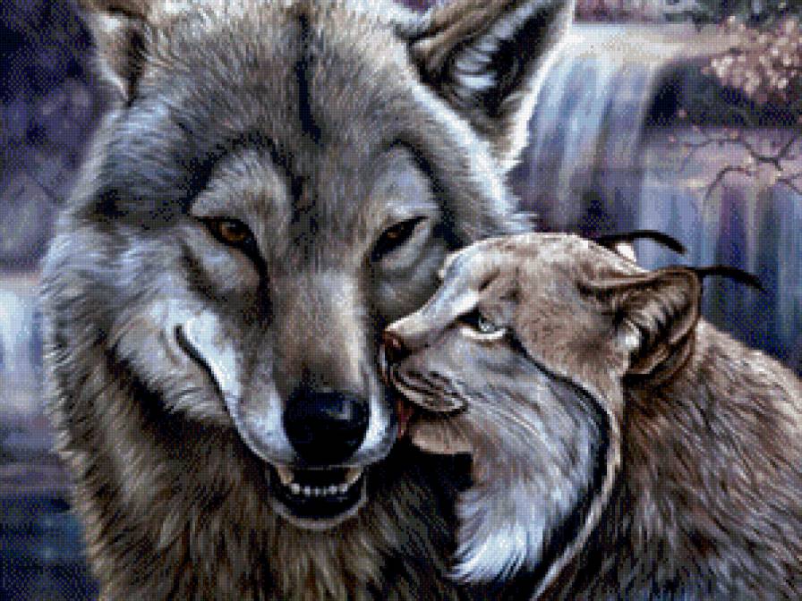 Необычная дружба - водопад, волки, рыси, пейзаж, животные - предпросмотр