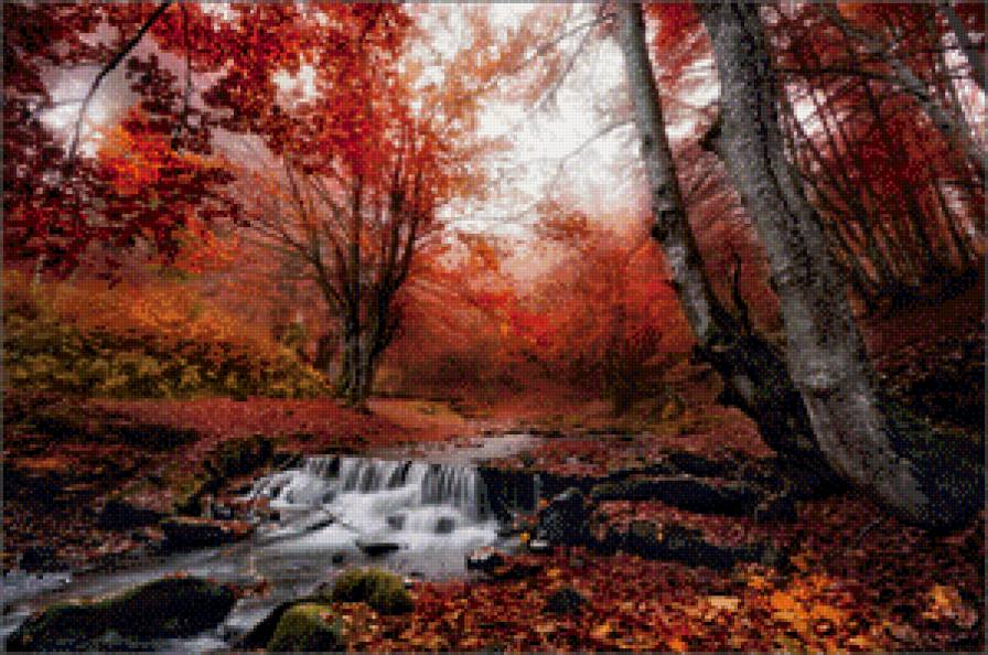 осень - осень речка лес - предпросмотр