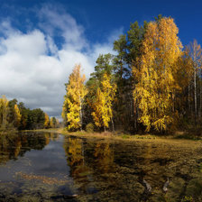 Схема вышивки «осень»