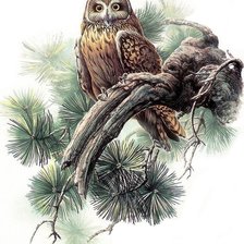 Схема вышивки «Сова на сосне»