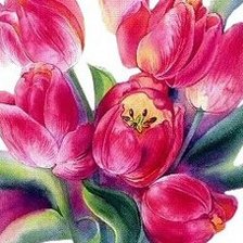 Схема вышивки «тюльпаны»