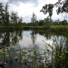 Схема вышивки «пруд»