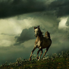 Схема вышивки «Араб 1»