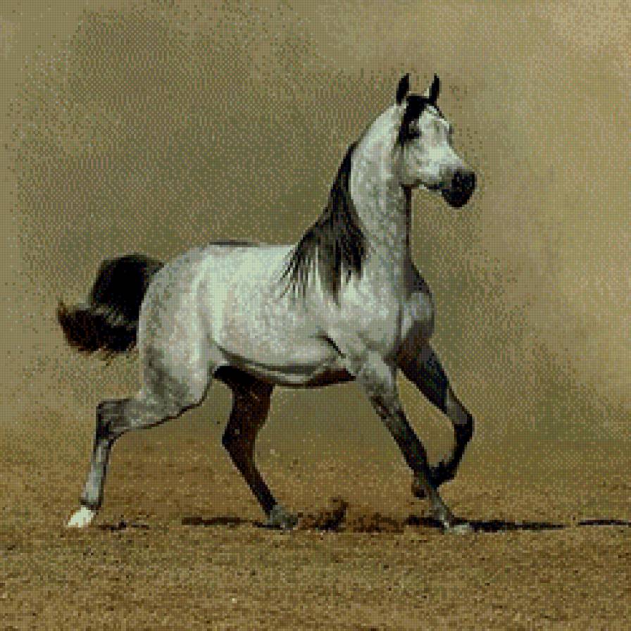 Серая лошадка. - лошадь - предпросмотр