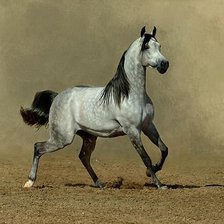 Схема вышивки «Серая лошадка.»