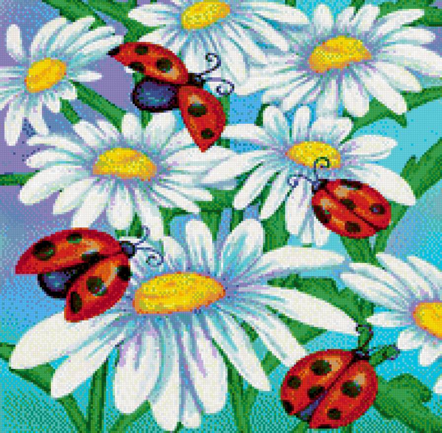 ромашки - цветок, ромашки, цветы - предпросмотр