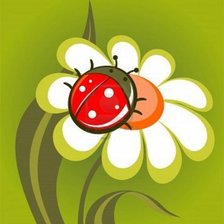 Схема вышивки «ромашка»