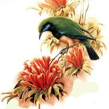 Схема вышивки «Птичка»