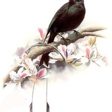 Схема вышивки «Птичка»