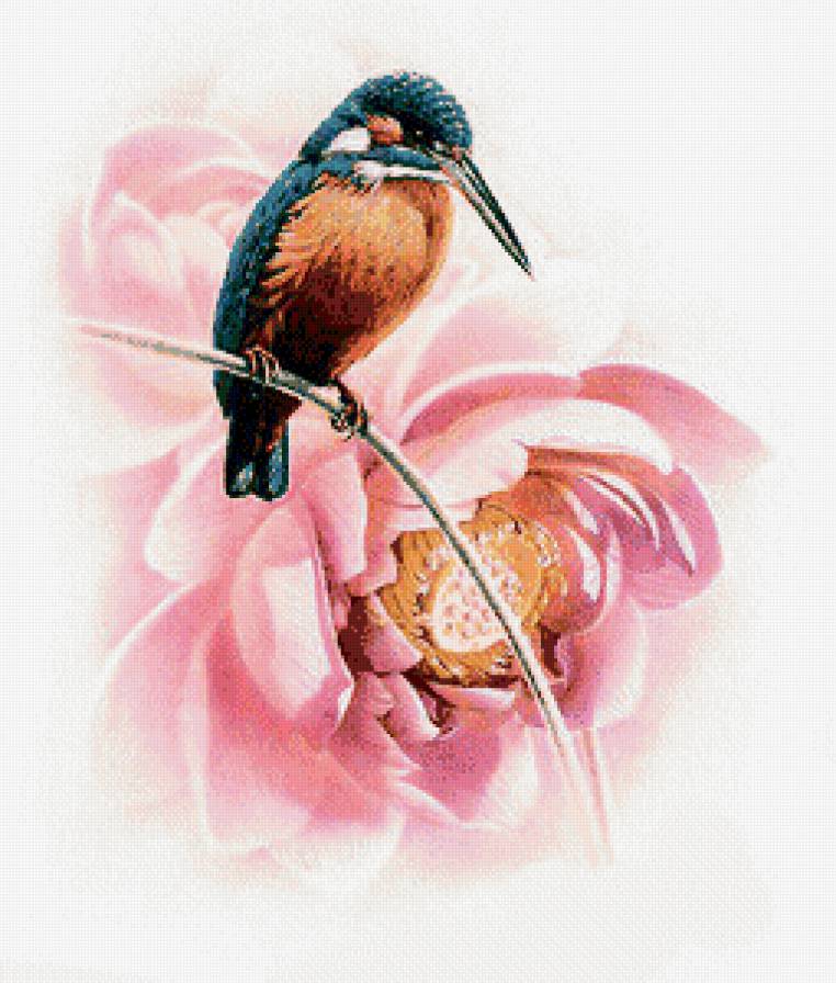 Птичка - птицы - предпросмотр