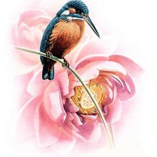 Схема вышивки «Птичка»