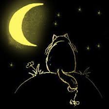 Схема вышивки «кот и луна на черном»