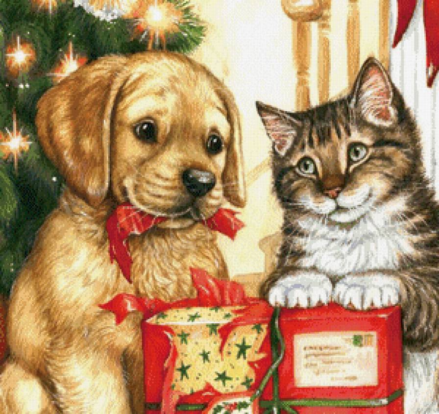 домашние любимцы - предпросмотр