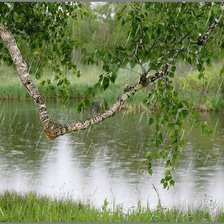 Схема вышивки «летний дождь»