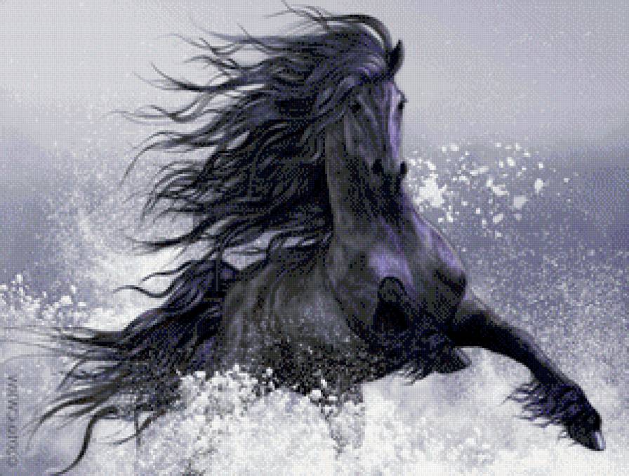 вороной в брызгах волн - животные, конь, лошадь, река, море, берег - предпросмотр