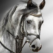 Схема вышивки «серия "животные"»