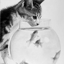 Схема вышивки «Киса»