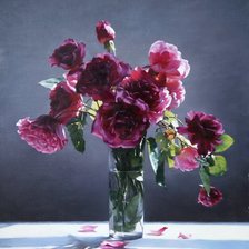 Схема вышивки «Ning Lee-Piony»