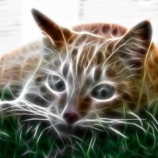 Схема вышивки «креативный кот»