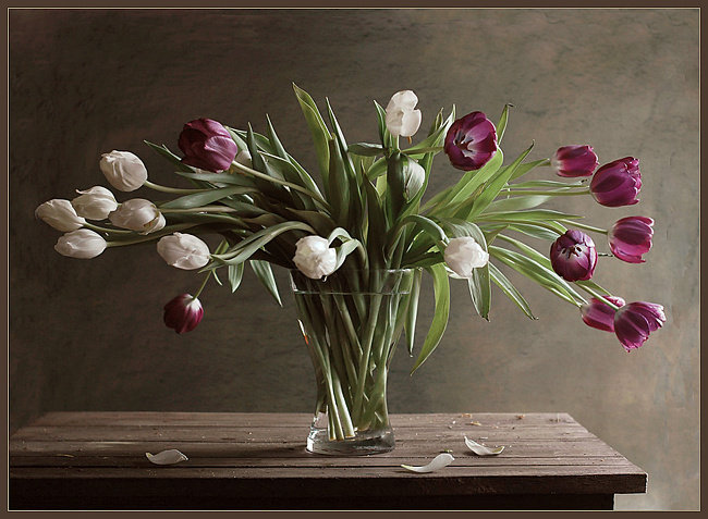 Натюрморт с тюльпанами - цветы, ваза, тюльпаны, натюрморт - оригинал