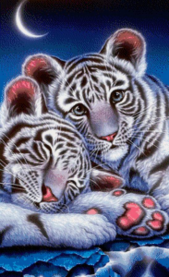 Тигрята - тигрята, животные, тигры - предпросмотр