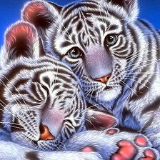 Схема вышивки «Тигрята»