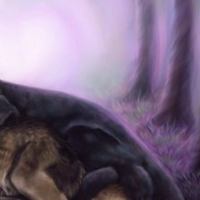 Схема вышивки «красивая дружба  часть 2»