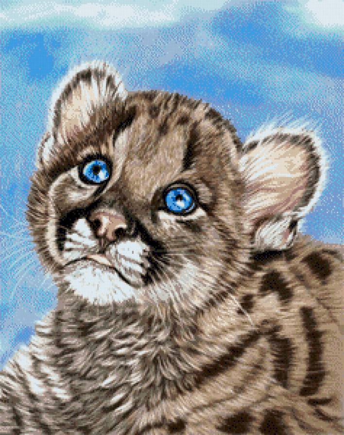 Тигрёнок - тигренок, тигрята, животные, детки, тигры, малыши - предпросмотр