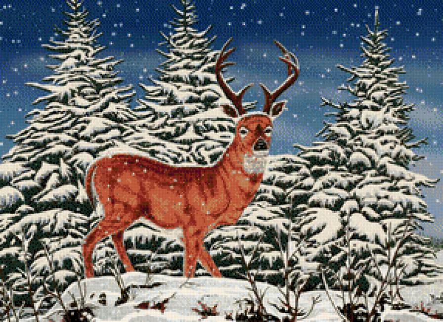 Лесной олень - олени, снег, природа, животные, елки, олень, зима, ели, лес - предпросмотр