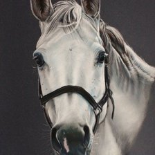 Схема вышивки «серия "животные"»