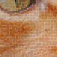 Предпросмотр схемы вышивки «рыжик» (№524694)
