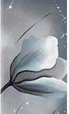 Схема вышивки «Серо-красные маки_5»