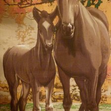 Схема вышивки «кони»