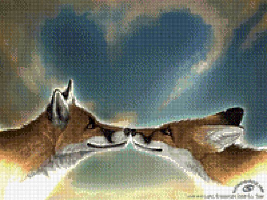 влюблённые лисы - животные - предпросмотр