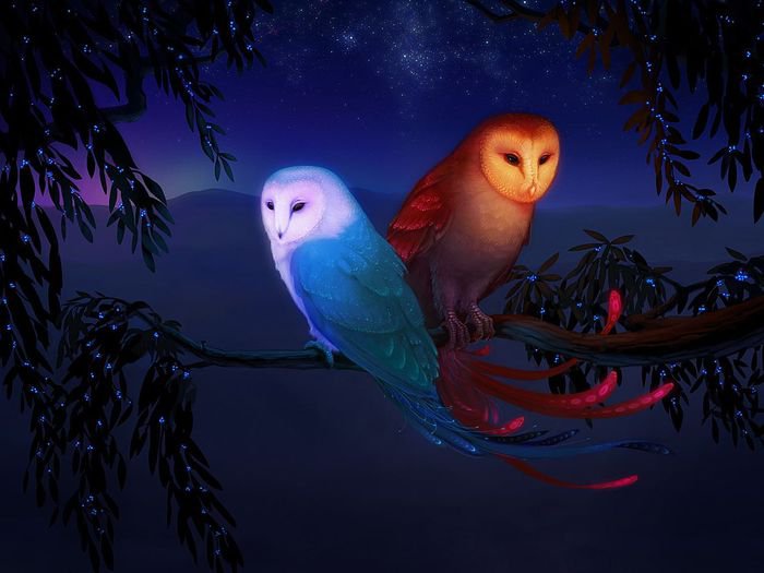 ночные совы - оригинал