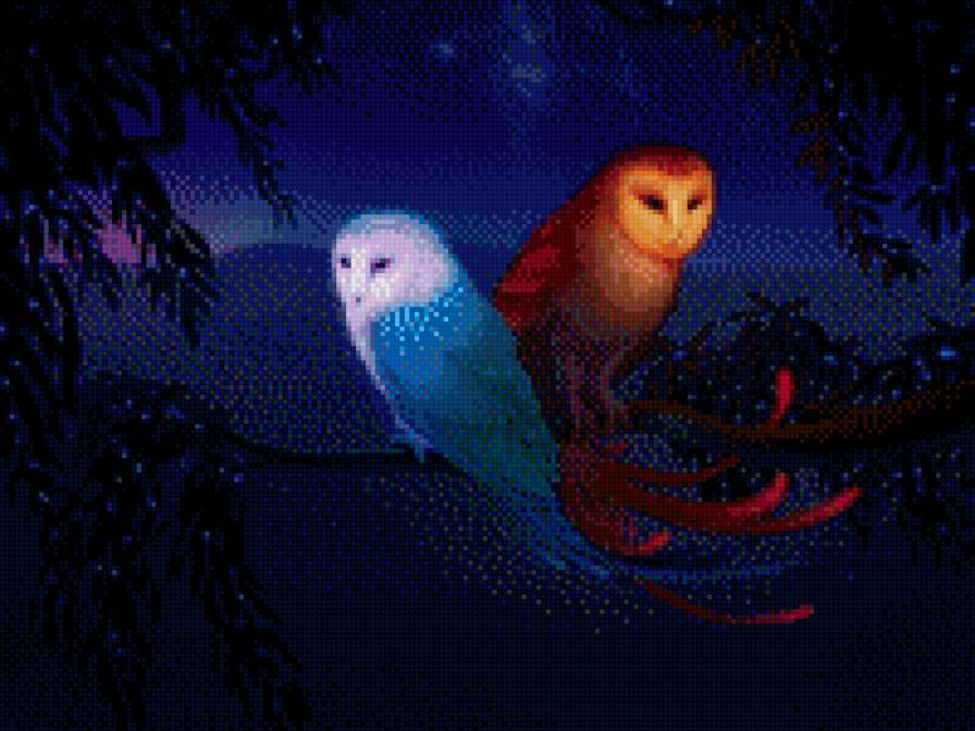 ночные совы - предпросмотр