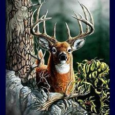 Схема вышивки «Красавец»