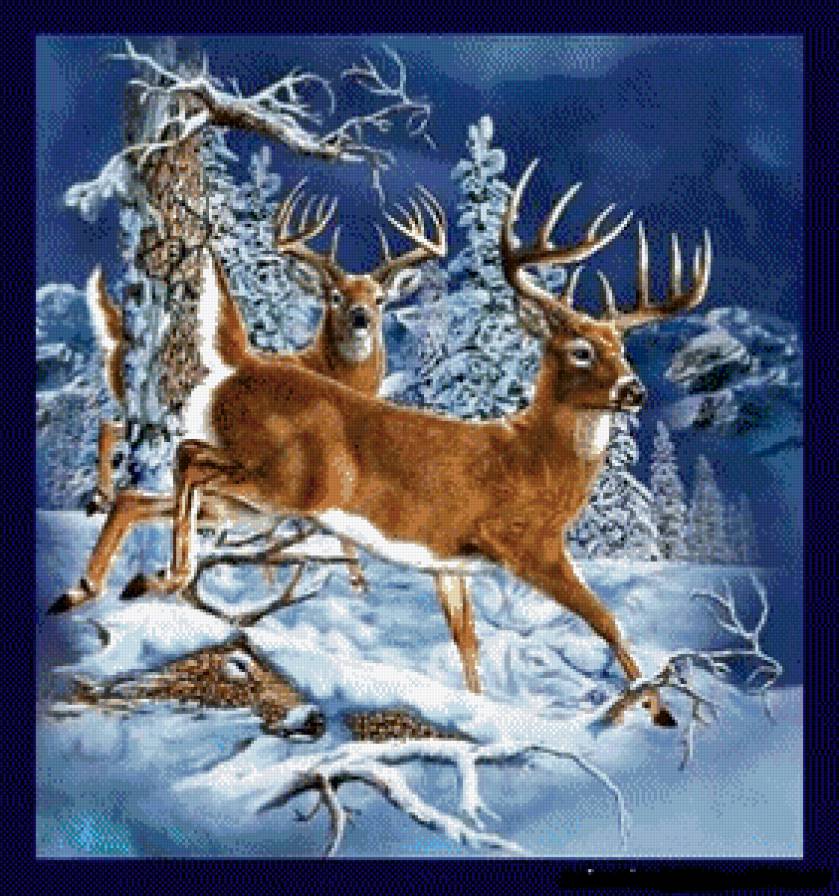 Олени - лес, животные, зима, пейзаж, олени - предпросмотр