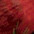Предпросмотр схемы вышивки «Кардиналы» (№524888)