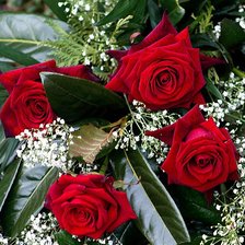 Схема вышивки «роза»