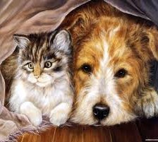 Схема вышивки «Настоящие друзья»