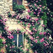 Схема вышивки «красивый дом»