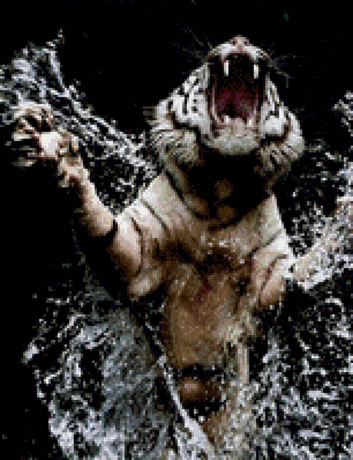 тигр - предпросмотр