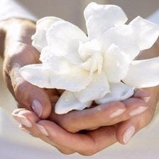 Схема вышивки «№525120»