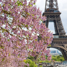 Схема вышивки «париж»